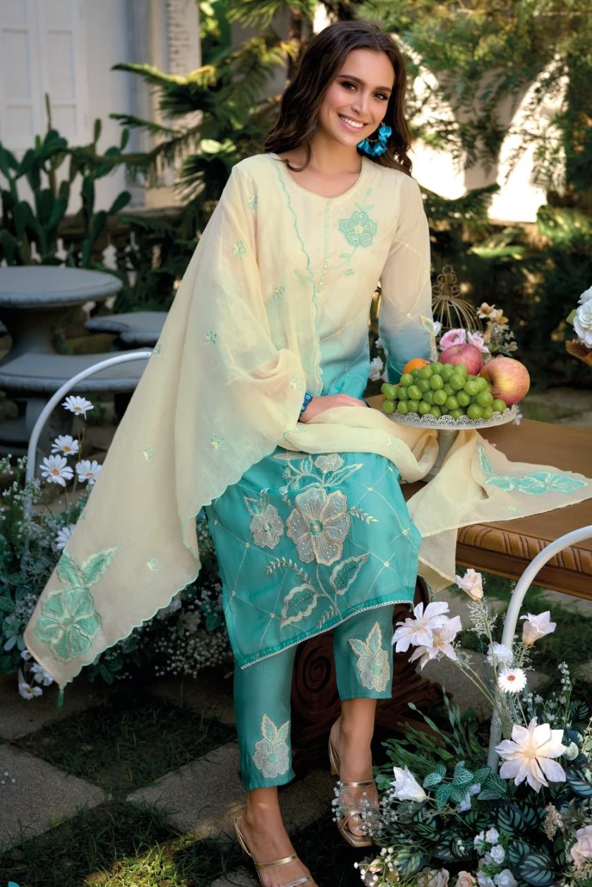 Chanchal softblue full work suit set - Image 5