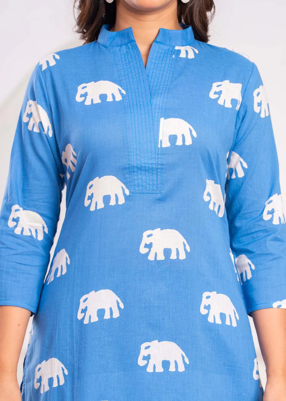 Jayti Aqua Elephant Cotton Kurta Pant Set - Image 4