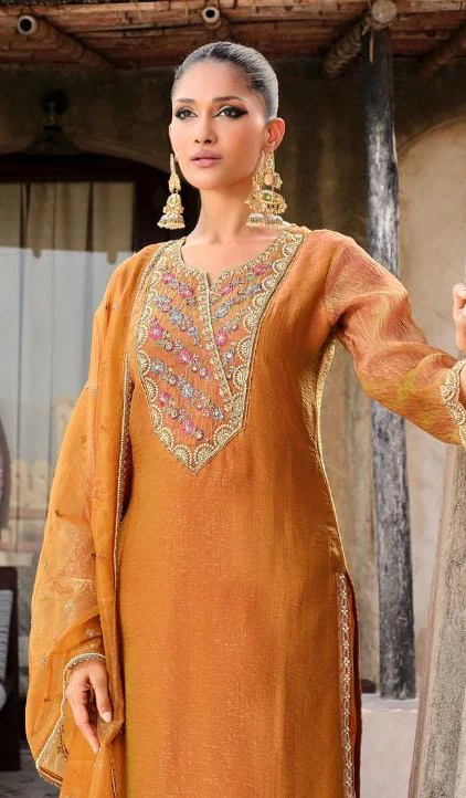 Gambhir Kesari full work suit set - Image 2