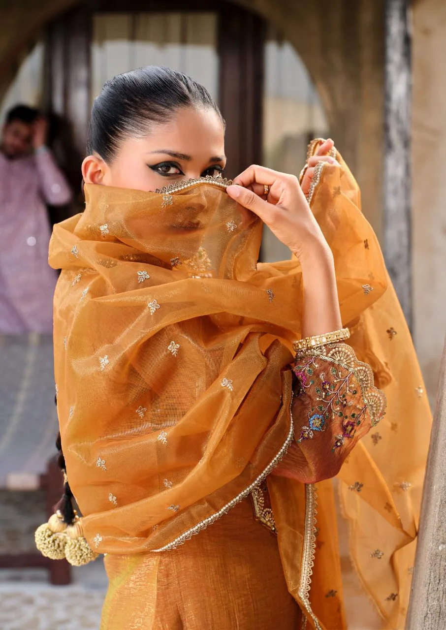 Gambhir Kesari full work suit set - Image 3