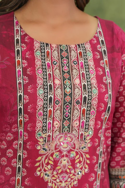 Brishti Rosy Printed Work Suit Set - Image 5