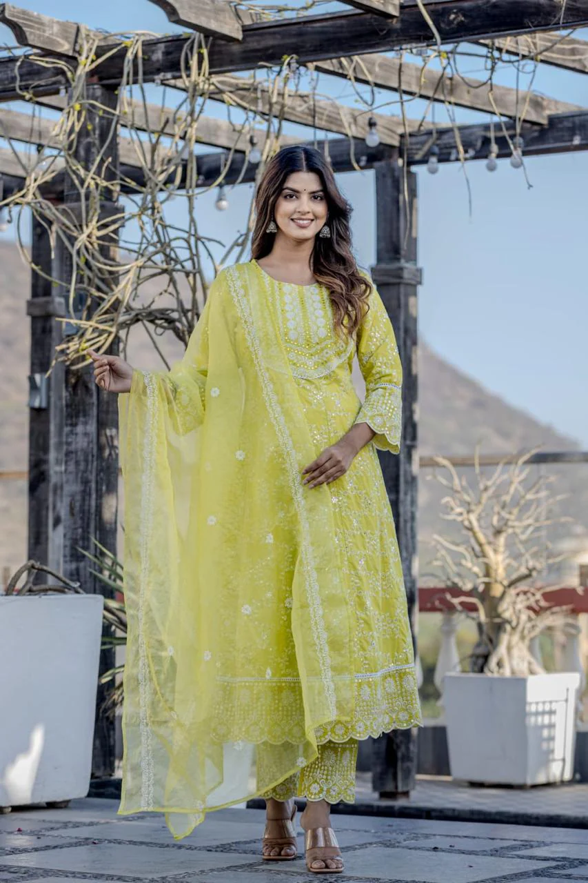 sanmati vivid full work suit set - Image 3