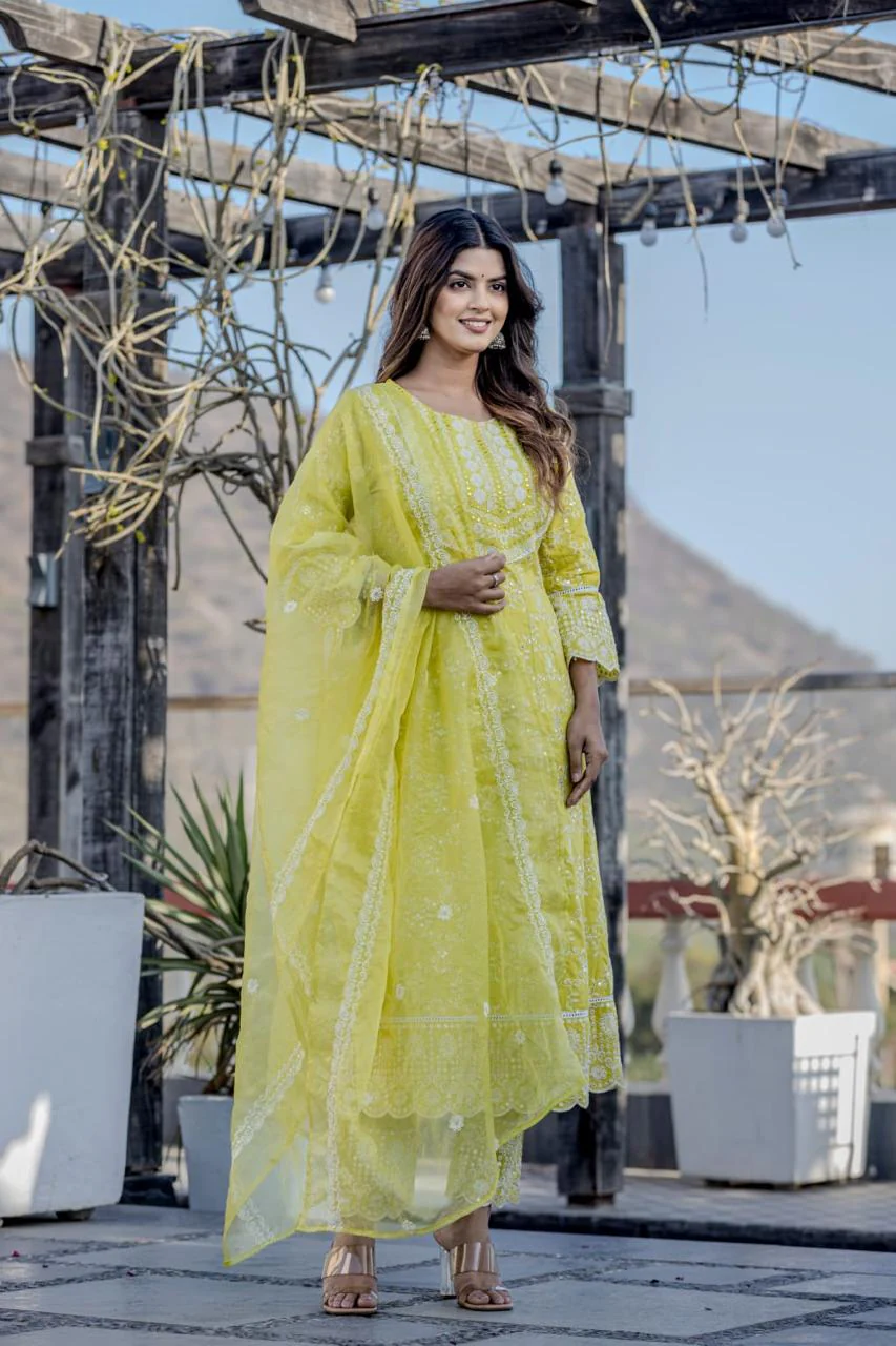 sanmati vivid full work suit set - Image 4