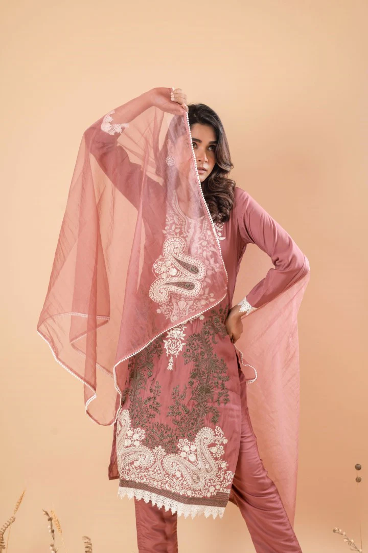 MUDRA RAISIN EMBROIDERY SUIT SET - Image 8