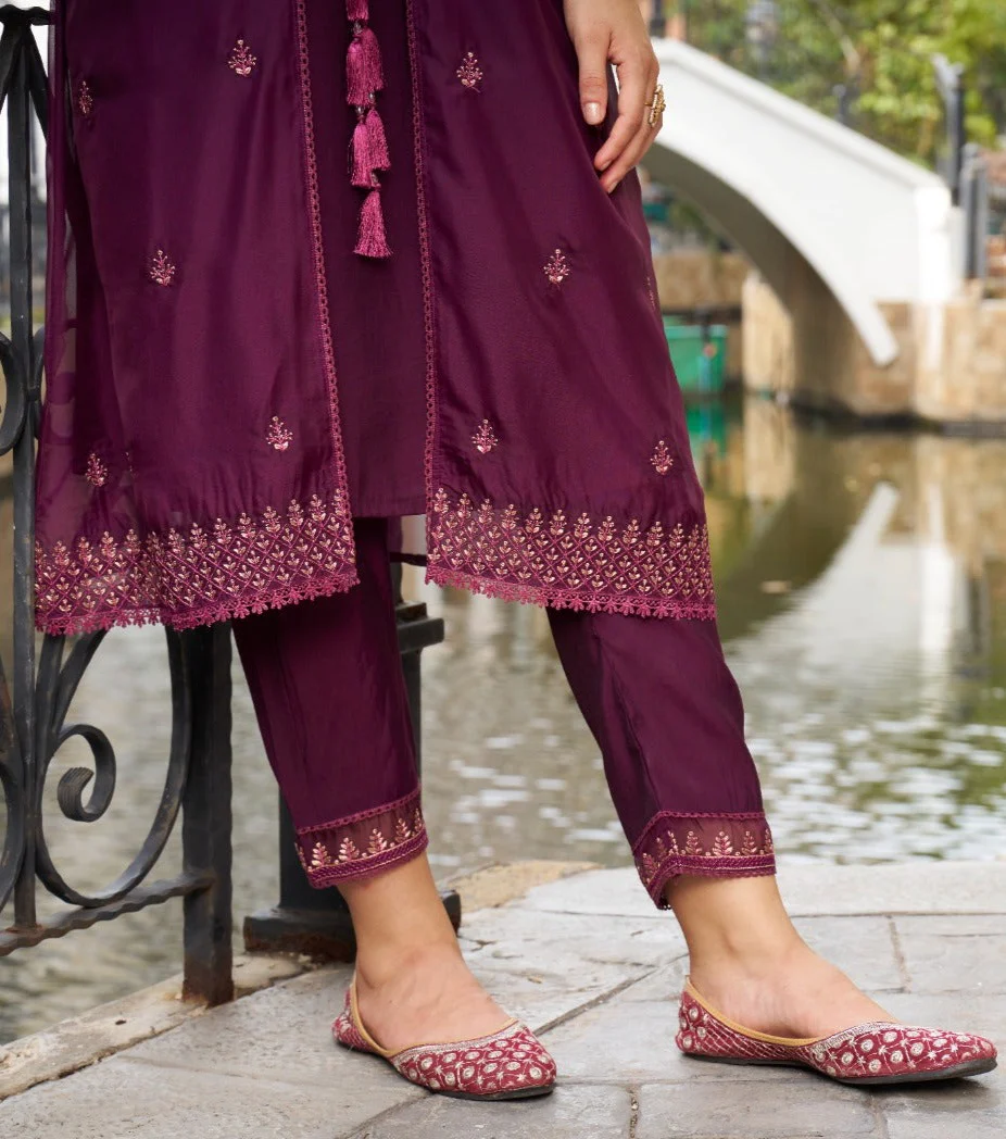 SIREESHA RAISIN EMBROIDERY DESIGNER ORGANZA JACKET SET - Image 2